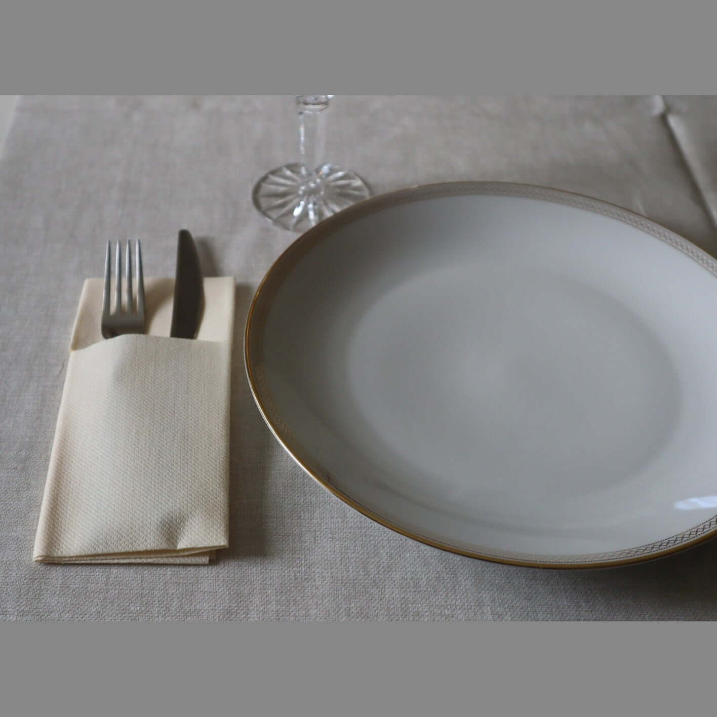 Tasca Portaposate Tnt Champagne Superior cm. 40x35 - 1200 pz.