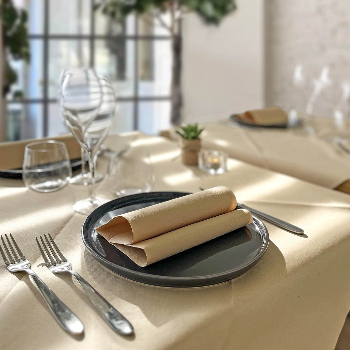 Tovaglia Tnt Natural Plus cm. 100x100 - 100 pz.