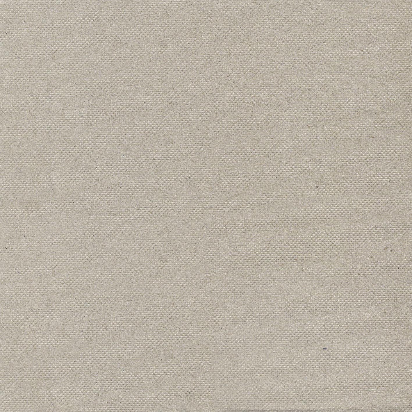 Tovagliolo Recycled Airwave cm. 38x38 - 1200 pz.