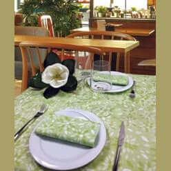 Tovaglia Tnt Flo Verde Ecosuperior cm. 100x100 – 100 pz.