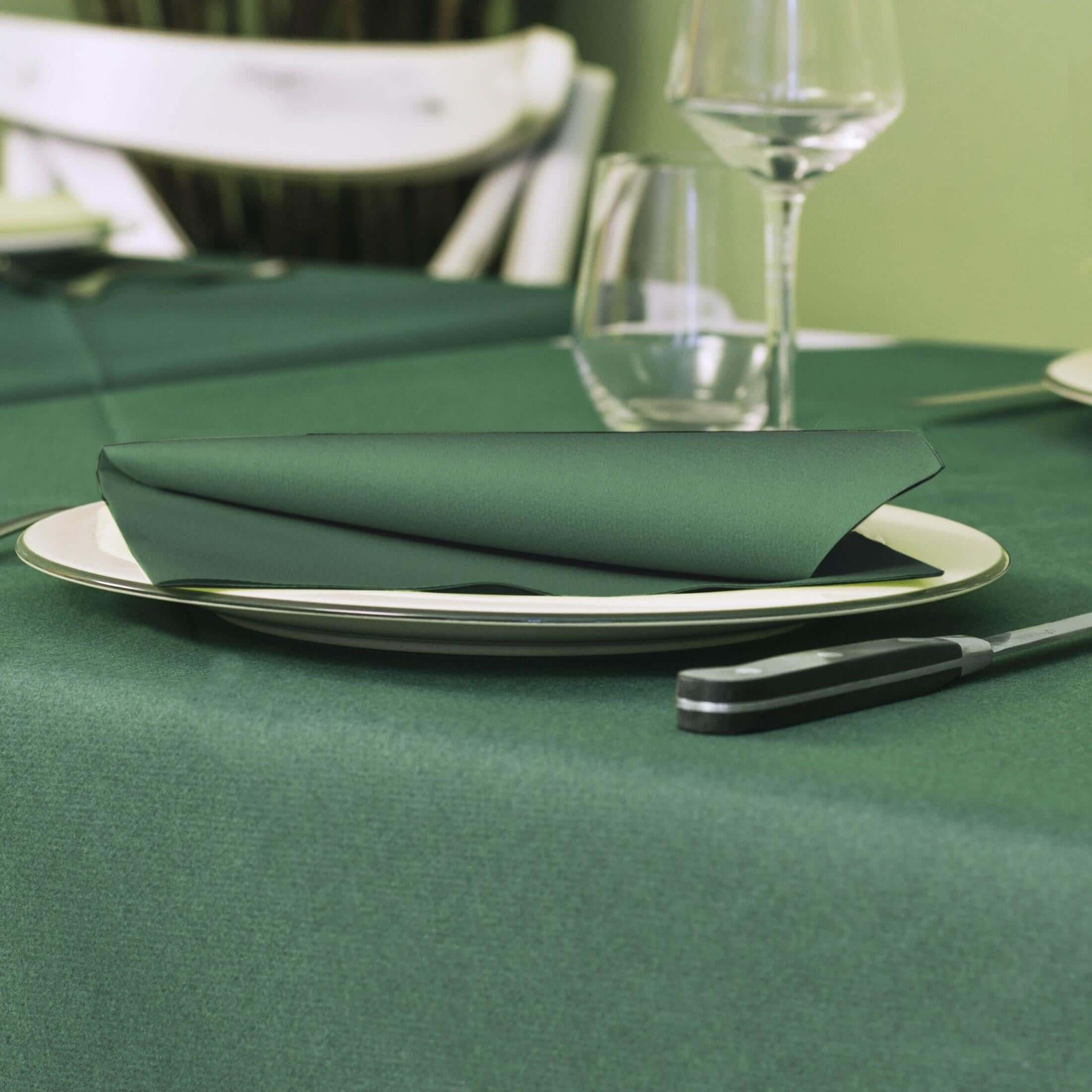 Tovagliolo Verde Plus cm. 40X40 - 800 pz.