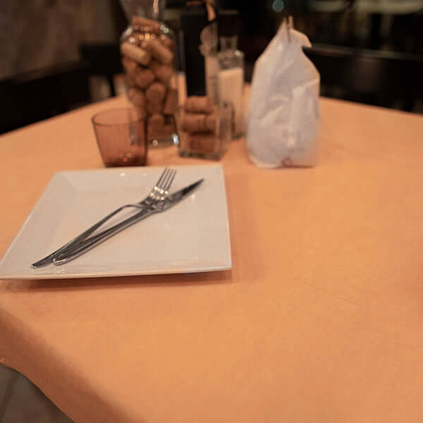 Tovaglia Easy Salmone Soft cm. 100x100 - 100 pz.