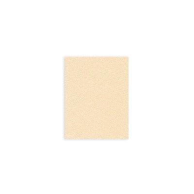 Tovagliolo Caramel Plus cm. 40x30 - 1200 pz.